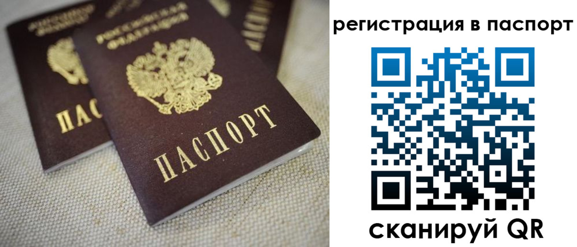 прописка гарантия в Емве